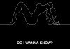 Arctic Monkeys – Do I Wanna Know ? Arctic Monkeys – Do I Wanna Know ?