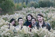 Twin Peaks - Walk To The One You Love